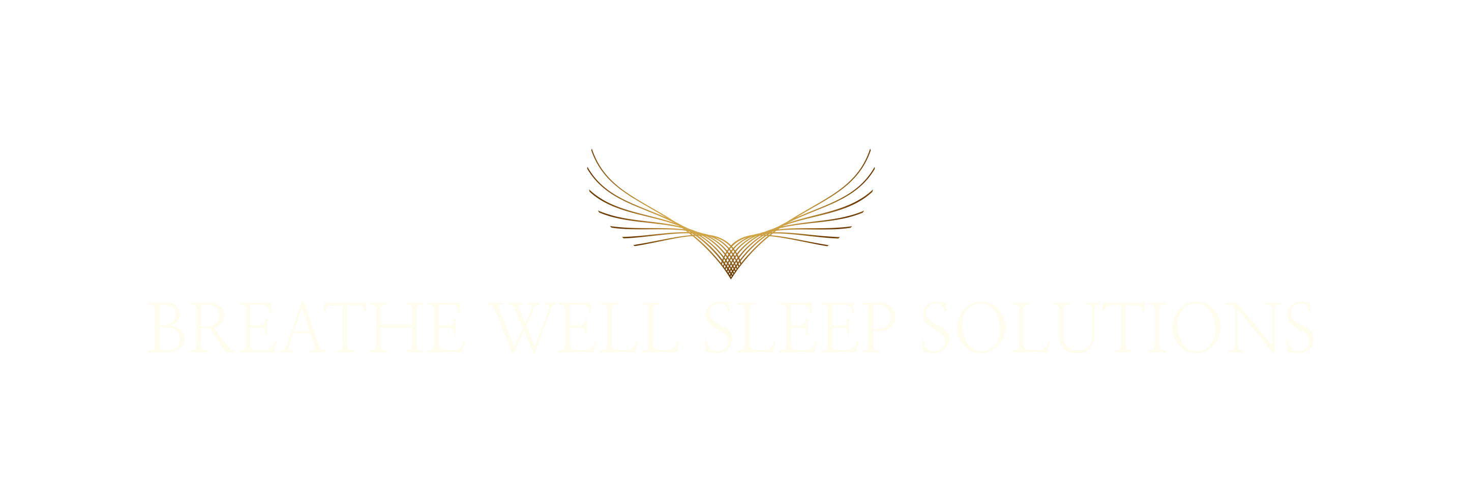 Breathe Well Sleep Solutions